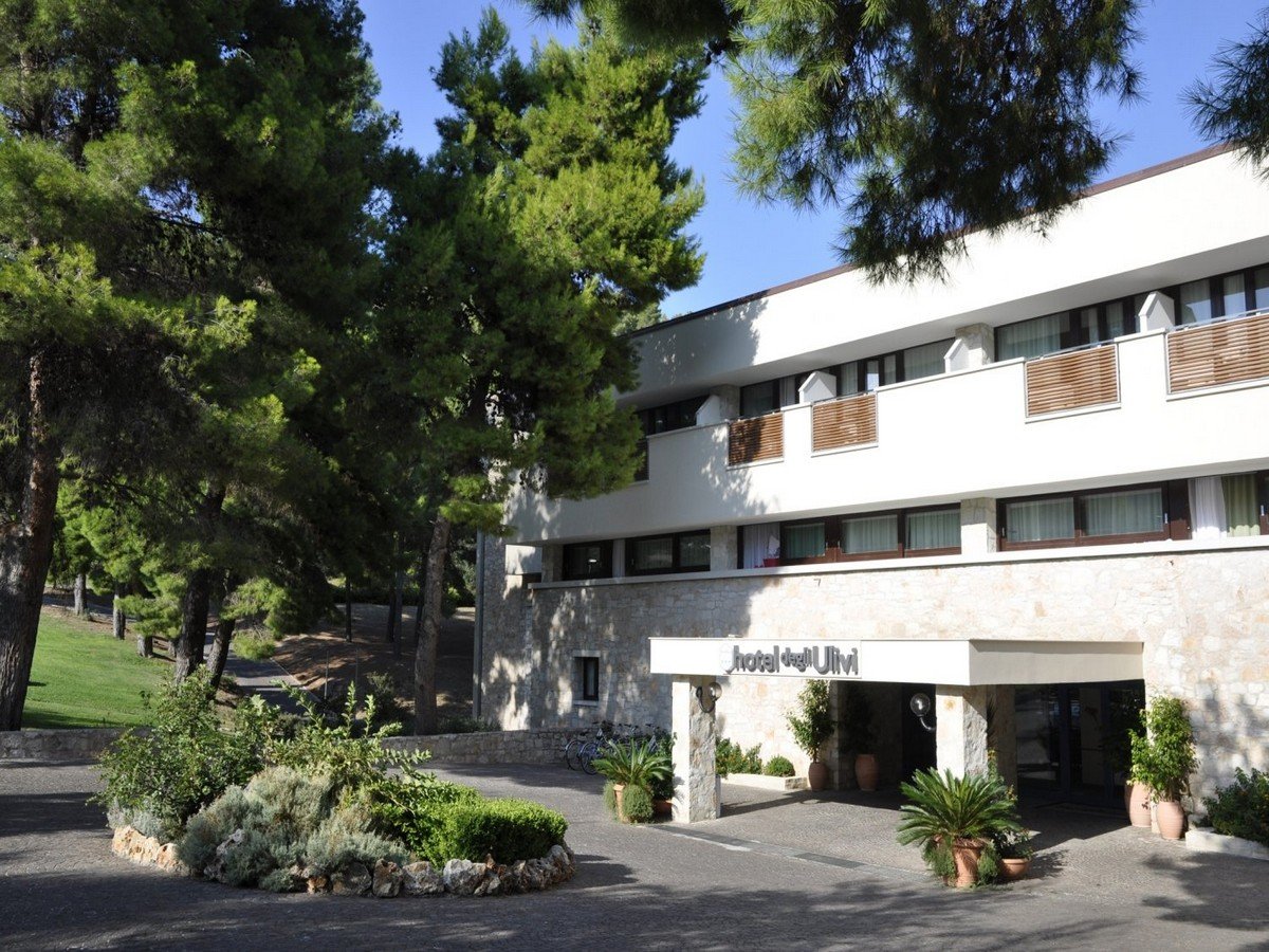 ulivi.jpg