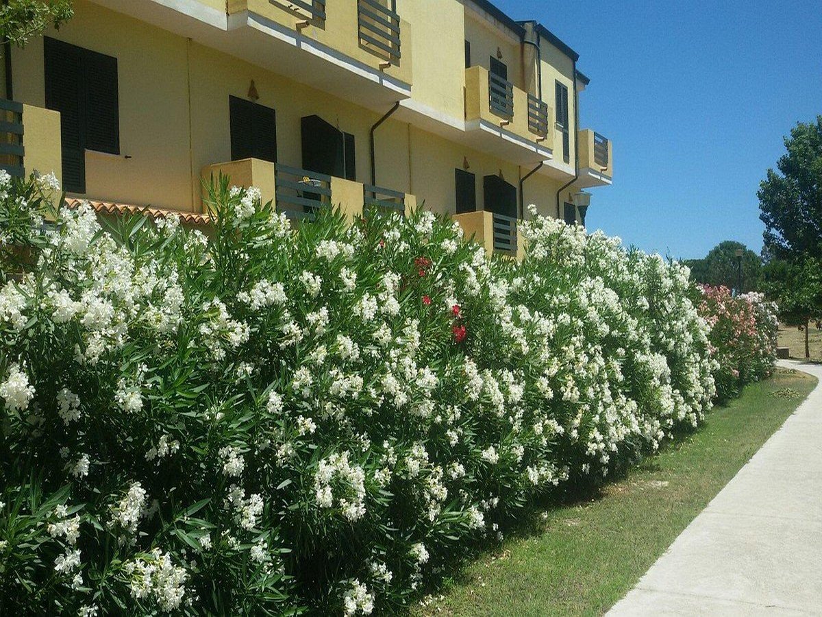 villaggio santandrea _20.jpg